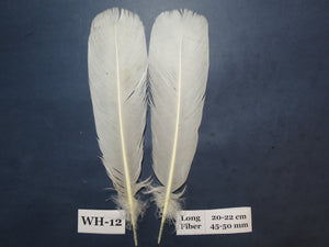 White Turkey Tail Feathers (One Pair Set) ,Fly Tying Material,Craft Feathers,Natural Turkey Feathers.