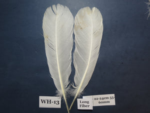 White Turkey Tail Feathers (One Pair Set) ,Fly Tying Material,Craft Feathers,Natural Turkey Feathers.