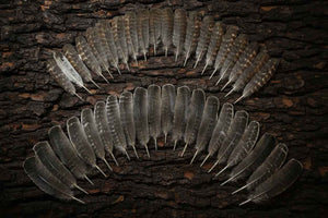 40 Pcs Turkey Wing Feathers, Fly Tying Material,Craft Feathers,Natural Turkey Feathers (2104)