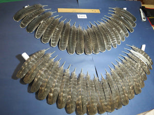 40 Pcs Turkey Wing Feathers, Fly Tying Material,Craft Feathers,Natural Turkey Feathers (2104)