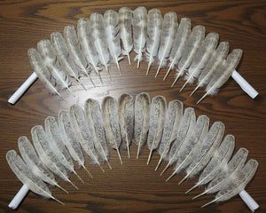 34 Pcs Turkey Wing Feathers, Fly Tying Material,Craft Feathers,Natural Turkey Feathers (2107)