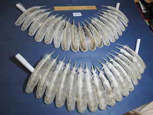 34 Pcs Turkey Wing Feathers, Fly Tying Material,Craft Feathers,Natural Turkey Feathers (2107)