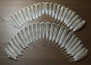 natural turkey feathers