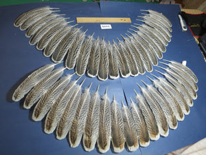 44 Pcs Turkey Wing Feathers, Fly Tying Material,Craft Feathers,Natural Turkey Feathers (2109)