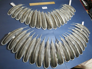 38 Pcs Turkey Wing Feathers, Fly Tying Material,Craft Feathers,Natural Turkey Feathers (2114)