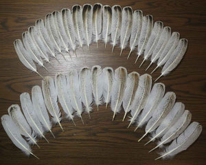 36 Pcs Turkey Wing Feathers, Fly Tying Material,Craft Feathers,Natural Turkey Feathers (2115)