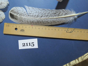36 Pcs Turkey Wing Feathers, Fly Tying Material,Craft Feathers,Natural Turkey Feathers (2115)