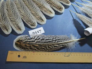 40 Pcs Turkey Wing Feathers, Fly Tying Material,Craft Feathers,Natural Turkey Feathers (2117)