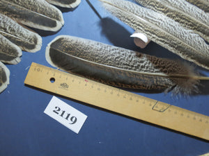 44 Pcs Turkey Wing Feathers, Fly Tying Material,Craft Feathers,Natural Turkey Feathers (2119)