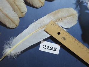 42 Pcs Turkey Wing Feathers, Fly Tying Material,Craft Feathers,Natural Turkey Feathers (2122)