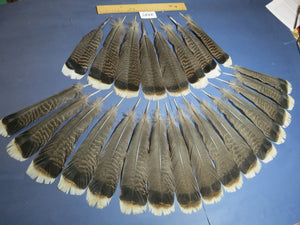 22 Pcs Turkey Tail Feathers, Fly Tying Material,Craft Feathers,Natural Turkey Feathers (2127)
