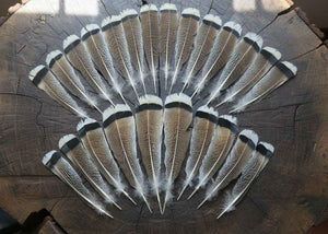 24 Pcs Turkey Tail Feathers, Fly Tying Material,Craft Feathers,Natural Turkey Feathers (2129)