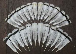 26 Pcs Turkey Tail Feathers, Fly Tying Material,Craft Feathers,Natural Turkey Feathers (2130)