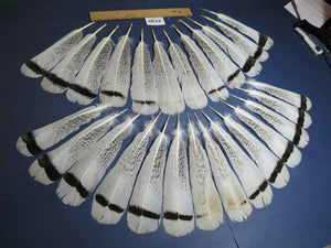 26 Pcs Turkey Tail Feathers, Fly Tying Material,Craft Feathers,Natural Turkey Feathers (2130)