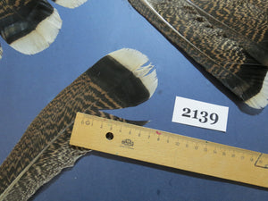 30 Pcs Turkey Tail Feathers, Fly Tying Material,Craft Feathers,Natural Turkey Feathers (2139)