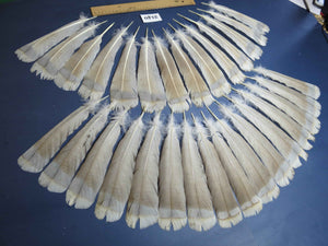 30 Pcs Turkey Tail Feathers, Fly Tying Material,Craft Feathers,Natural Turkey Feathers (2140)