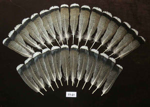 28 Pcs Turkey Tail Feathers, Fly Tying Material,Craft Feathers,Natural Turkey Feathers (2141)