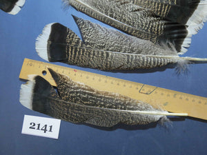 28 Pcs Turkey Tail Feathers, Fly Tying Material,Craft Feathers,Natural Turkey Feathers (2141)