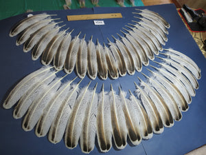 42 Pcs Turkey Wing Feathers, Fly Tying Material,Craft Feathers,Natural Turkey Feathers (2151)
