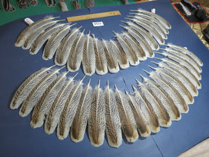38 Pcs Turkey Wing Feathers, Fly Tying Material,Craft Feathers,Natural Turkey Feathers (2154)