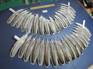 36 Pcs Turkey Wing Feathers, Fly Tying Material,Craft Feathers,Natural Turkey Feathers (2156)