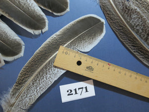 44 Pcs Turkey Wing Feathers, Fly Tying Material,Craft Feathers,Natural Turkey Feathers (2171)