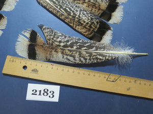 28 Pcs Turkey Tail Feathers, Fly Tying Material,Craft Feathers,Natural Turkey Feathers (2183)