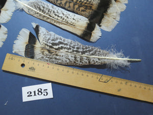 34 Pcs Turkey Tail Feathers, Fly Tying Material,Craft Feathers,Natural Turkey Feathers (2185)