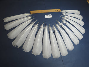 16 Pcs White Turkey Tail Feathers, Turkey Feathers,Fly Tying Material,Craft Feathers,Natural Turkey Feathers (W-541)