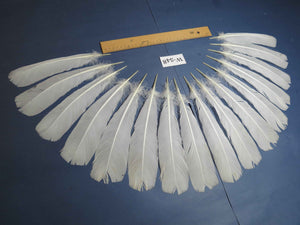 16 Pcs White Turkey Tail Feathers, Turkey Feathers,Fly Tying Material,Craft Feathers,Natural Turkey Feathers (W-548)