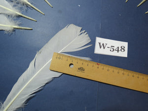 16 Pcs White Turkey Tail Feathers, Turkey Feathers,Fly Tying Material,Craft Feathers,Natural Turkey Feathers (W-548)