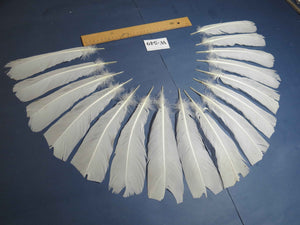 16 Pcs White Turkey Tail Feathers, Turkey Feathers,Fly Tying Material,Craft Feathers,Natural Turkey Feathers (W-549)