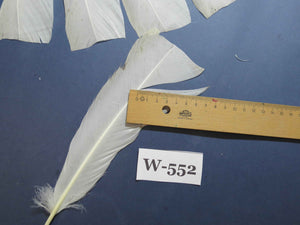 18 Pcs White Turkey Tail Feathers, Turkey Feathers,Fly Tying Material,Craft Feathers,Natural Turkey Feathers (W-552)