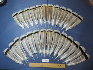 26 Pcs Turkey Tail Feathers, Fly Tying Material,Craft Feathers,Natural Turkey Feathers (2191)