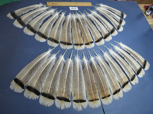 26 Pcs Turkey Tail Feathers, Fly Tying Material,Craft Feathers,Natural Turkey Feathers (2191)