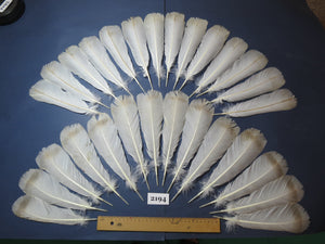 28 Pcs Turkey Tail Feathers, Fly Tying Material,Craft Feathers,Natural Turkey Feathers (2194)