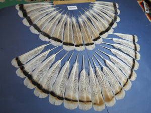 32 Pcs Turkey Tail Feathers, Fly Tying Material,Craft Feathers,Natural Turkey Feathers (2206)
