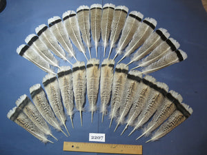 28 Pcs Turkey Tail Feathers, Fly Tying Material,Craft Feathers,Natural Turkey Feathers (2207)