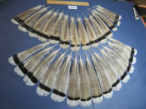 28 Pcs Turkey Tail Feathers, Fly Tying Material,Craft Feathers,Natural Turkey Feathers (2207)