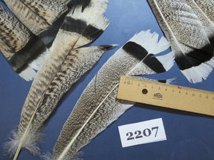 28 Pcs Turkey Tail Feathers, Fly Tying Material,Craft Feathers,Natural Turkey Feathers (2207)