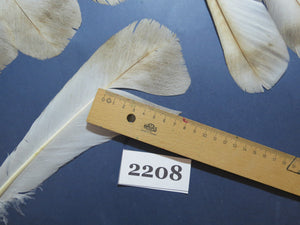 26 Pcs Turkey Tail Feathers, Fly Tying Material,Craft Feathers,Natural Turkey Feathers (2208)