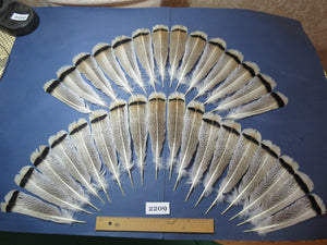 32 Pcs Turkey Tail Feathers, Fly Tying Material,Craft Feathers,Natural Turkey Feathers (2209)