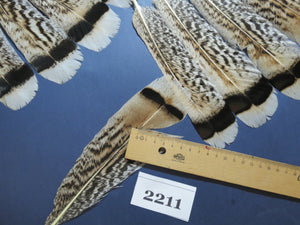 32 Pcs Turkey Tail Feathers, Fly Tying Material,Craft Feathers,Natural Turkey Feathers (2211)