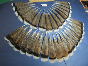 34 Pcs Turkey Tail Feathers, Fly Tying Material,Craft Feathers,Natural Turkey Feathers (2215)