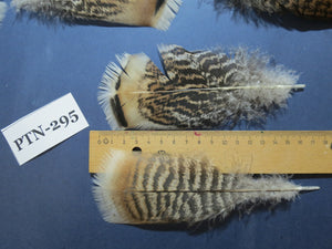 30 Pcs Turkey Pre-Tail Feathers, Fly Tying Material,Craft Feathers,Natural Turkey Feathers (PTN-295)