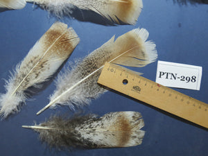 30 Pcs Turkey Pre-Tail Feathers, Fly Tying Material,Craft Feathers,Natural Turkey Feathers (PTN-298)