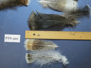 30 Pcs Turkey Pre-Tail Feathers, Fly Tying Material,Craft Feathers,Natural Turkey Feathers (PTN-301)