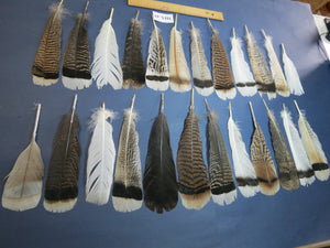 24 Pcs Natural Turkey Tail Feathers, Fly Tying Materials, Genuine Feathers (MIX-49)