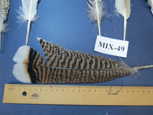 24 Pcs Natural Turkey Tail Feathers, Fly Tying Materials, Genuine Feathers (MIX-49)