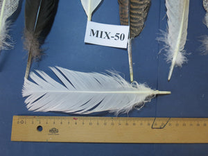 24 Pcs Natural Turkey Tail Feathers, Fly Tying Materials, Genuine Feathers (MIX-50)